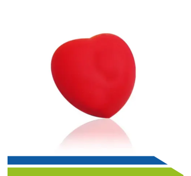 Esfera - Fisioterapia - Exercicio - Idoso - Mobilidade - Dilepe