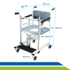 Cadeira - Transferencia - Idoso - Acamado - Cadeirante - Mobilidade10
