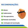 Acamado - Cadeirante - Escara - Fratura - Lesao - Longevitech