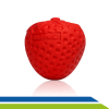 Esfera - Fisioterapia - Exercicio - Idoso - Mobilidade - Dilepe7